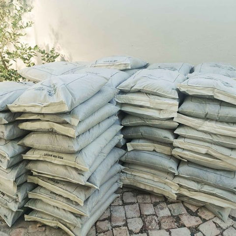 Potting Soil