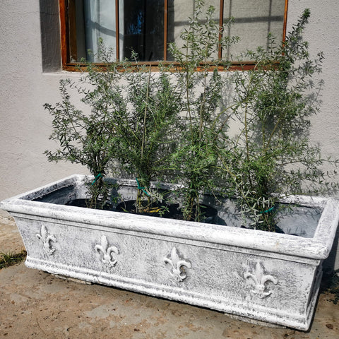 Rectangle Decorative Garden Pot